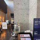 네스트 커피 (Nest Coffee) | 인천 영종도 여행 ㅣ 네스트 호텔(Nest Hotel) 수영장, 맛집, 숙박 후기