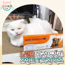 씨유 CK양평점 | 강아지 고양이 관절영양제, 조인트 터마신 맥스 급여 후기