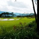 대영환경 이미지