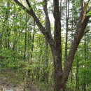 강림면사무소 이미지