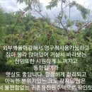 청천부동산중개사무소 이미지