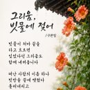 시;그리움, 빗물에 젖어/구본일(능소화 꽃 조척래 제공) 이미지