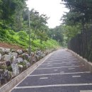 2017년 8월 29일(화요도보) 대공원에서 과천매봉과 청계사로 산길 걷기 이미지