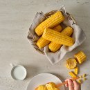 삼송빵집 이미지