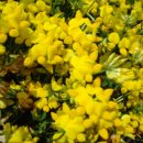 신시도경로당 이미지