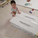 대호카랜드 이미지