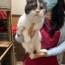 서신동물병원 이미지