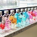 EM환경지도사 | [공지] [필독] 자연주의 연 출강 포트폴리오