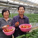 두모농장 이미지