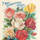 행정사사무소 상세인 이미지