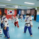 용인대석사튼튼태권도 이미지