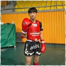 천하체육관 | 대전MMA 무예의 새로운 발견 대전 비래 천하 지짐 후기