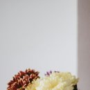 새금산병원 이미지