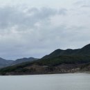 서부여농업협동조합 하나로마트 네이버블로그