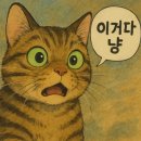 펌)초보자를 위한 LangChain + RAG 설명서 (무료 쿠폰 나눔) 이미지