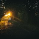 디에스치과의원 이미지