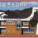 돈지백구마을 이미지