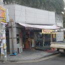 망고&체리 애견샵 이미지