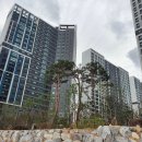 코오롱하늘채공인중개사사무소 이미지