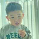 핸섬보이 - 김해시 | 핸섬보이