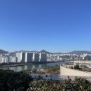 신세계주 이미지