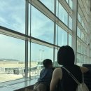 네스트렌트카 이미지