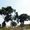 한일한약방