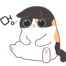 서진 동물병원 이미지