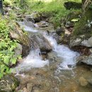 태기산주유소 이미지