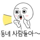 구뜨피자 이미지