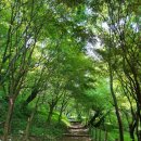 비행장 로타리2 | 경기 광주여행 광주가볼만한곳 광주남한산성 또또또 방문 후기 - 주차장보, 정상빠르게 올라가는 법