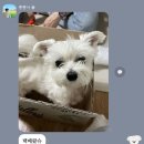 [20240525] 로마 바티칸투어