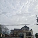 흑두부이야기 | [여수] 여수 맛집 풍자 또간집 풀뿌리흑두부