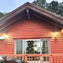 봉수산 자연휴양림 | 🌿 봉수산 자연휴양림 노루귀 숙박후기 | 예당호뷰 충남자연휴양림 힐링 여행