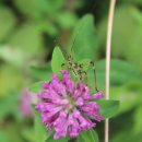 부동목장 이미지