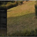 정정공 강사상 묘역 이미지