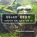 물속풍경수족관 이미지
