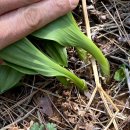 강대성농장 이미지