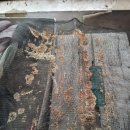 박상구농장 이미지