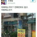 치악산 복숭아 당도 최고 이미지