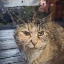 명월루나게스트하우스 이미지