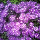 리멤버유스호스텔 이미지