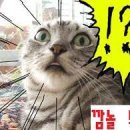 미드로배우는 생활영어 이미지