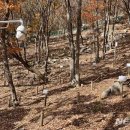 노화농장 이미지