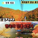 11/4(월)백양사 내장사 단풍 트레킹 (장성/정읍)출발06시50분 이미지