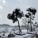 올곧바른치과의원 이미지