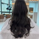 자르다헤어(hair) | 대전유성미용실 림헤어 REEM HAIR 파마 잘하는 미용실 추천