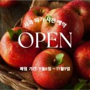 농업회사법인 청정가내 주식회사 | 파주 민통선 친환경 농장 디엠지플러스 :: 사과, 배따기 체험 후기(아이와 함께) :D