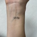 Worth | 에스쿱스X민규 음악중심 worth it 사녹후기