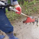 쇠똥구리 농장 이미지